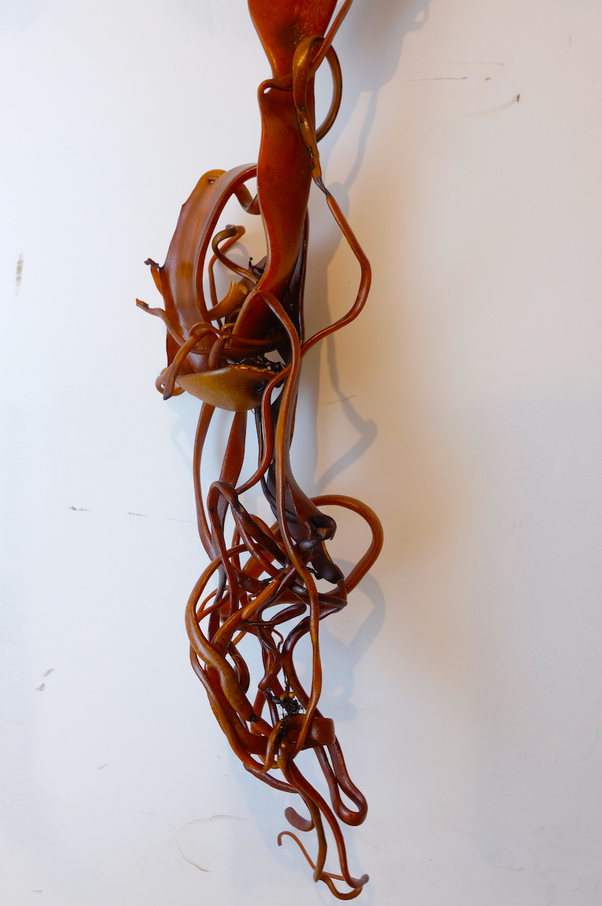 dried rimurapa (kelp)