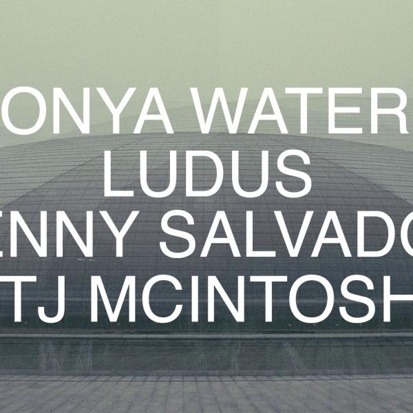 a black and white image of superimposed domes, the artists names are in text