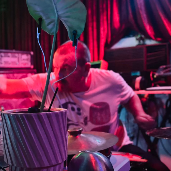 A photo of Vegetable Machine Animal playing with his instruments in a pink light