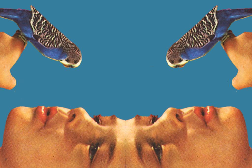 A vintage image of a woman holding and whistling to a bird appears is mirrored in a symmetrical design