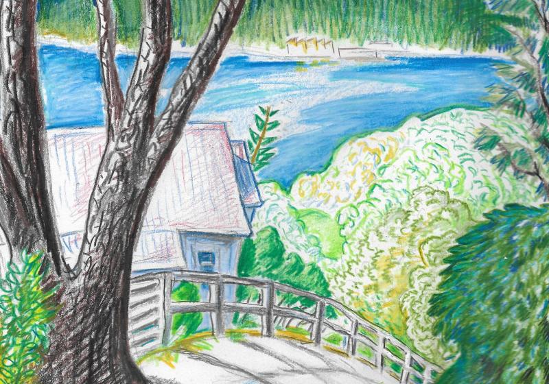 a tree lined path sloping down a hill