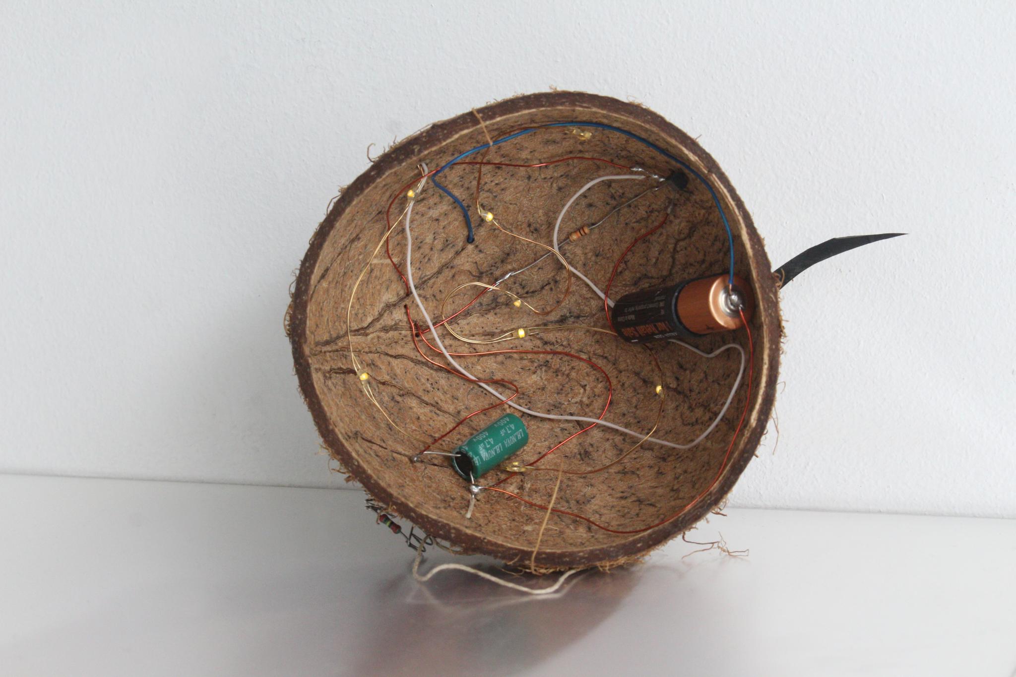 Coconut Joule Thief: Coconut shell, flat AA battery, fairy lights, LED module from dead downlight, hand wound coil on ferrite toroid, resistors, battery terminal springs, capacitor, transistor.