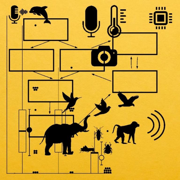 Image for Machine Listening