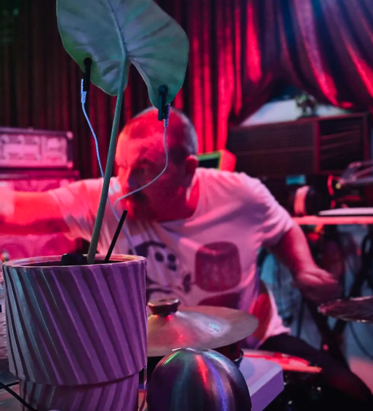 A photo of Vegetable Machine Animal playing with his instruments in a pink light