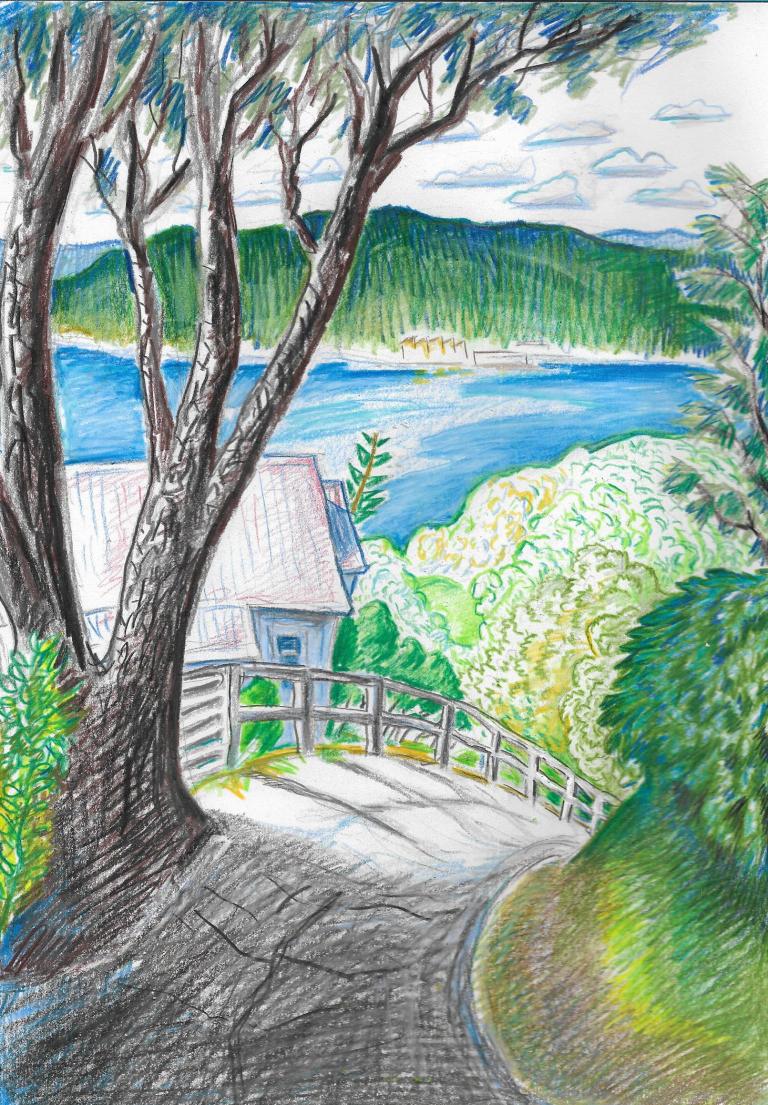 a tree lined path sloping down a hill