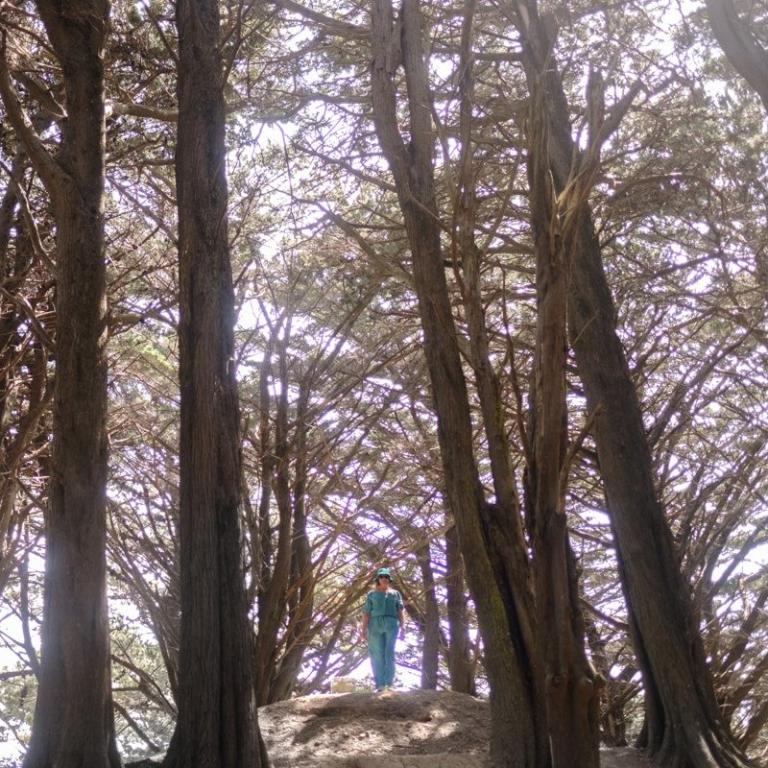 Sonya stands amongst towering pine trees